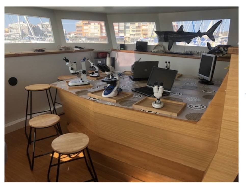 Location Catamaran Sea Explorer 2 à Marseille l'Estaque ou Vieux Port